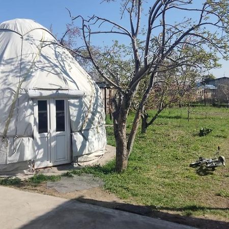 Yurt Stay In Downtown Karakol Kültér fotó