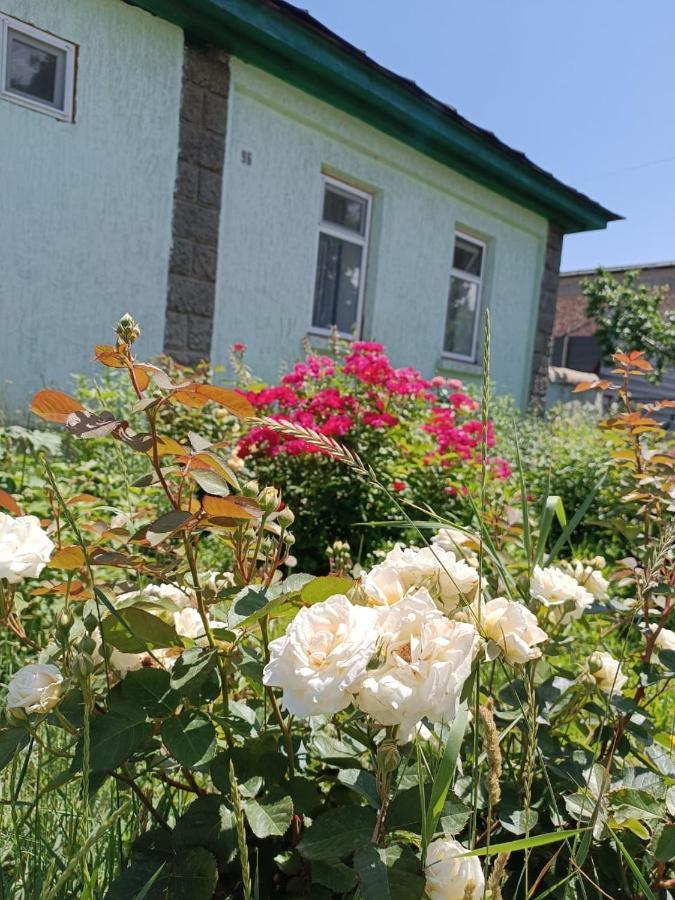 Yurt Stay In Downtown Karakol Kültér fotó